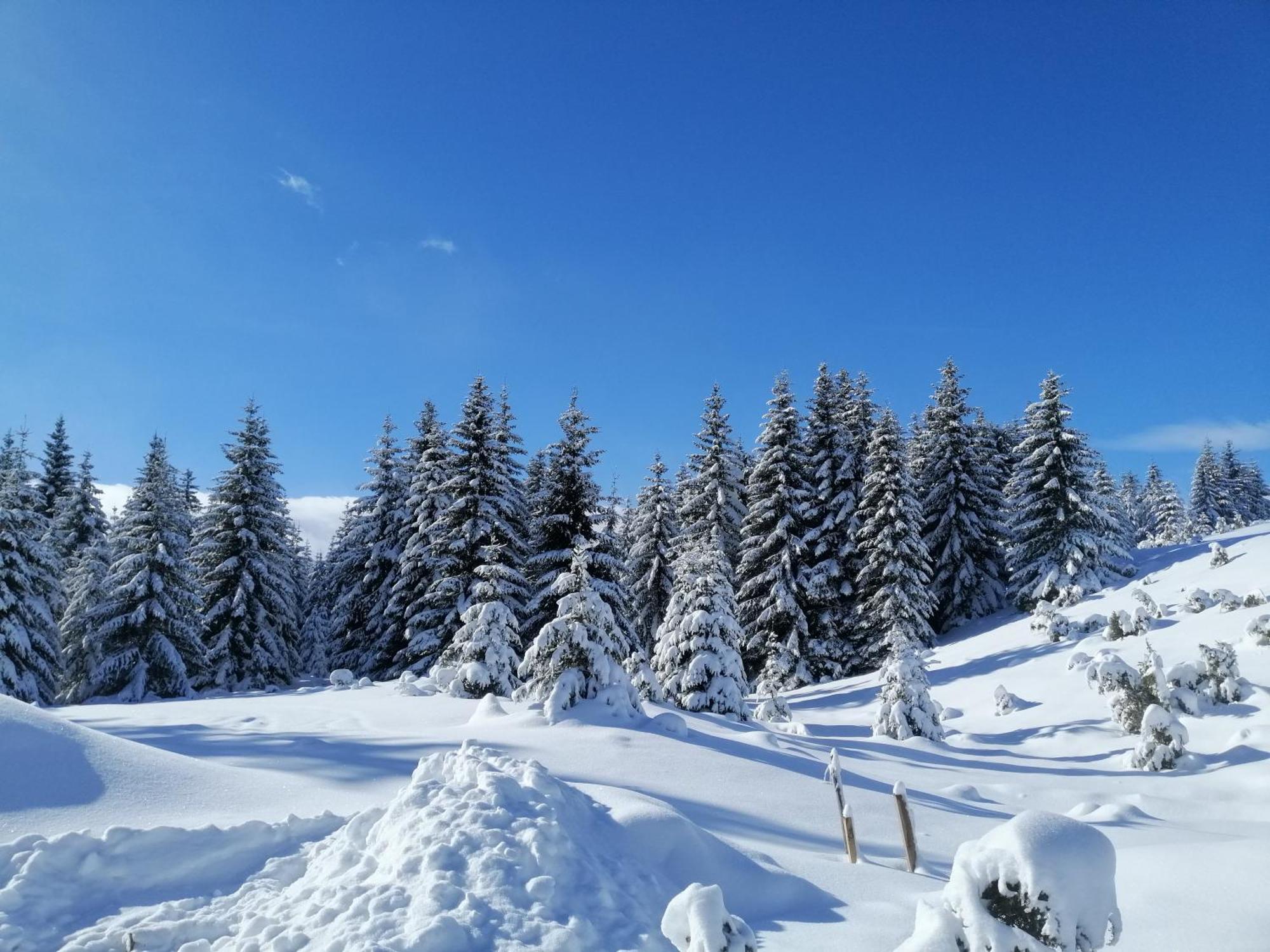 M&K Chalets Žabljak エクステリア 写真
