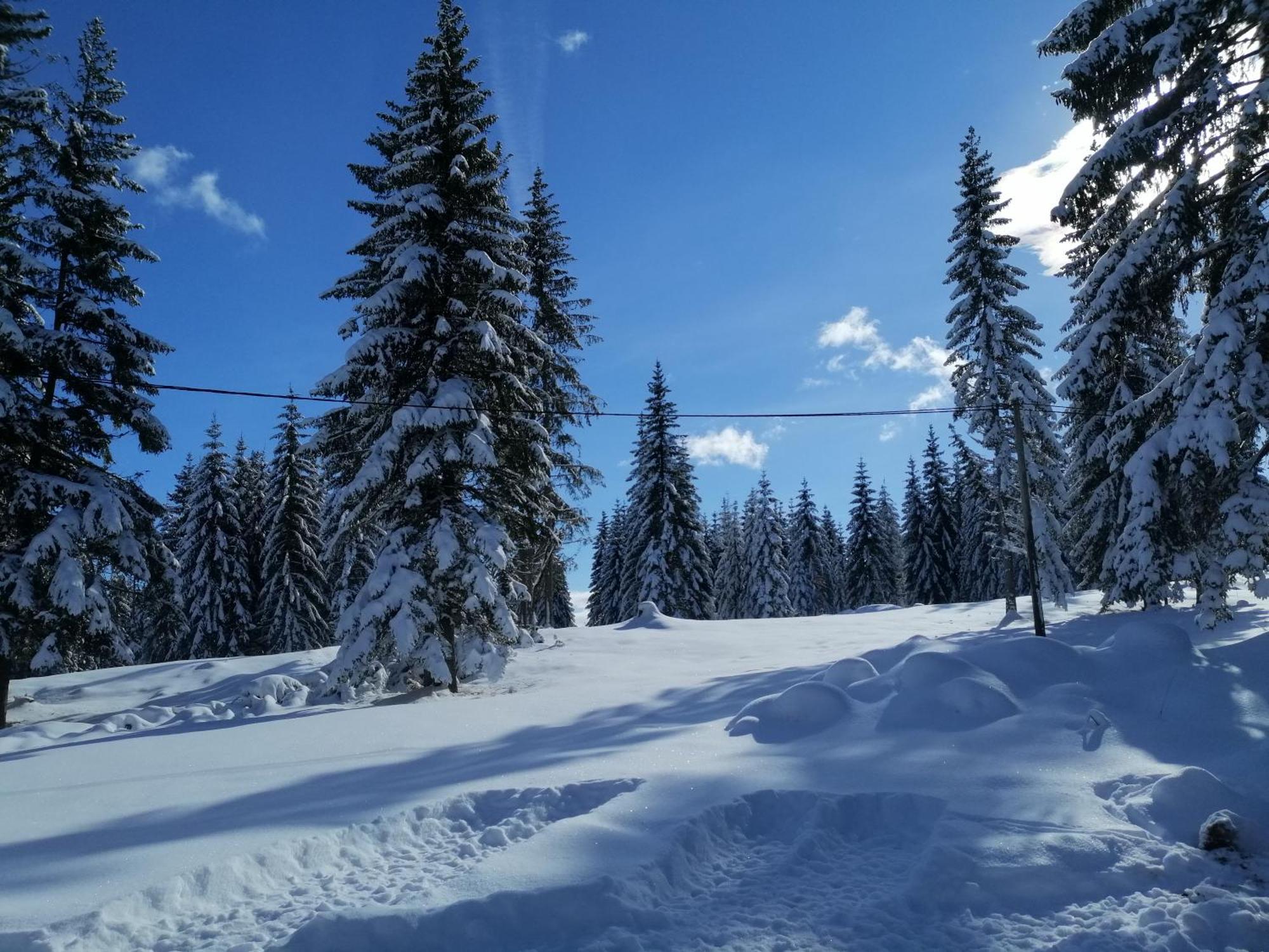 M&K Chalets Žabljak エクステリア 写真