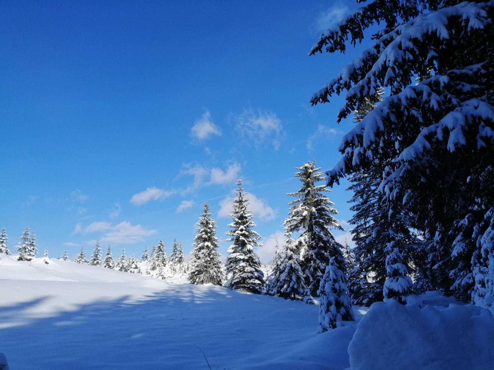 M&K Chalets Žabljak エクステリア 写真