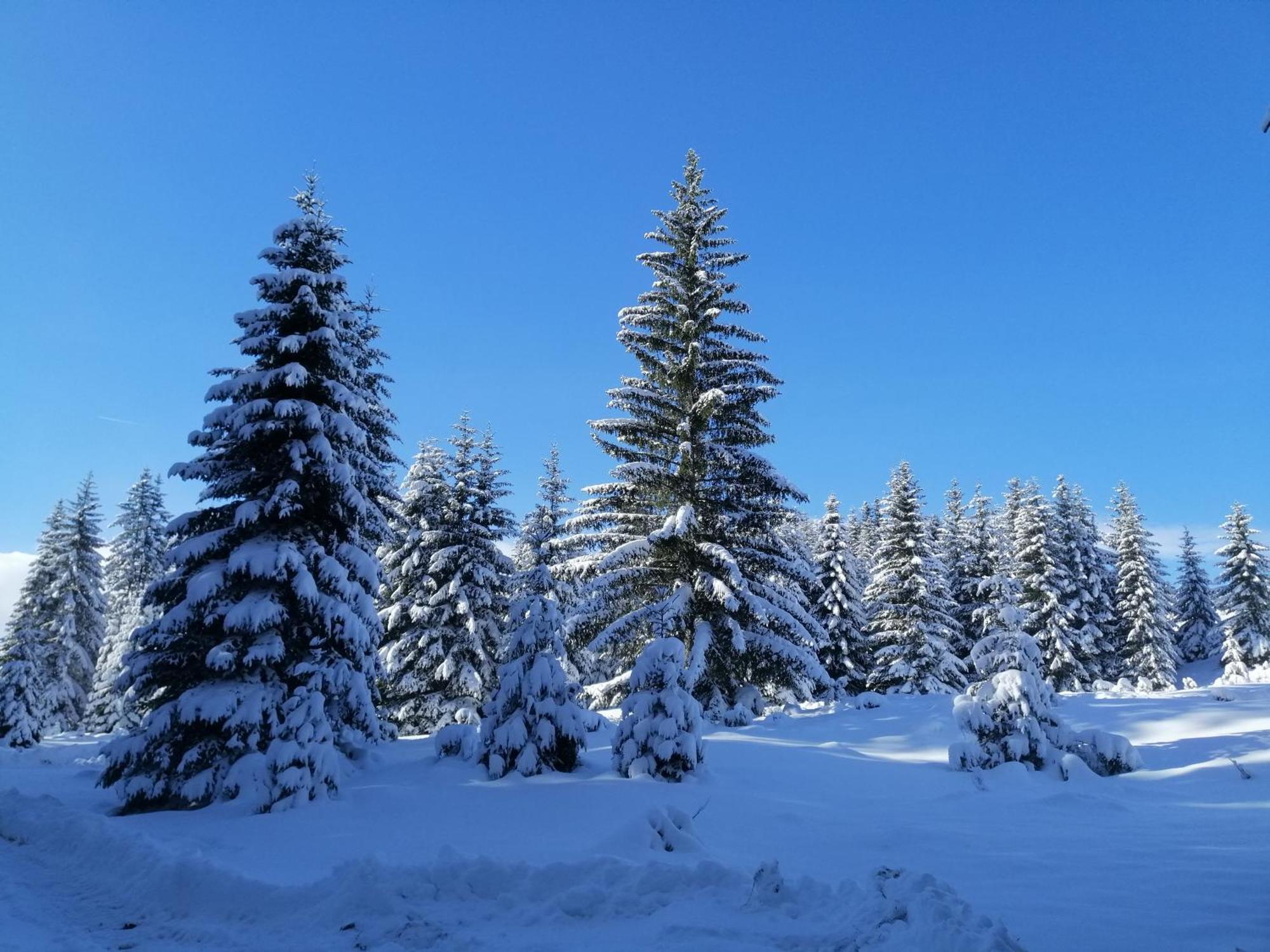 M&K Chalets Žabljak エクステリア 写真